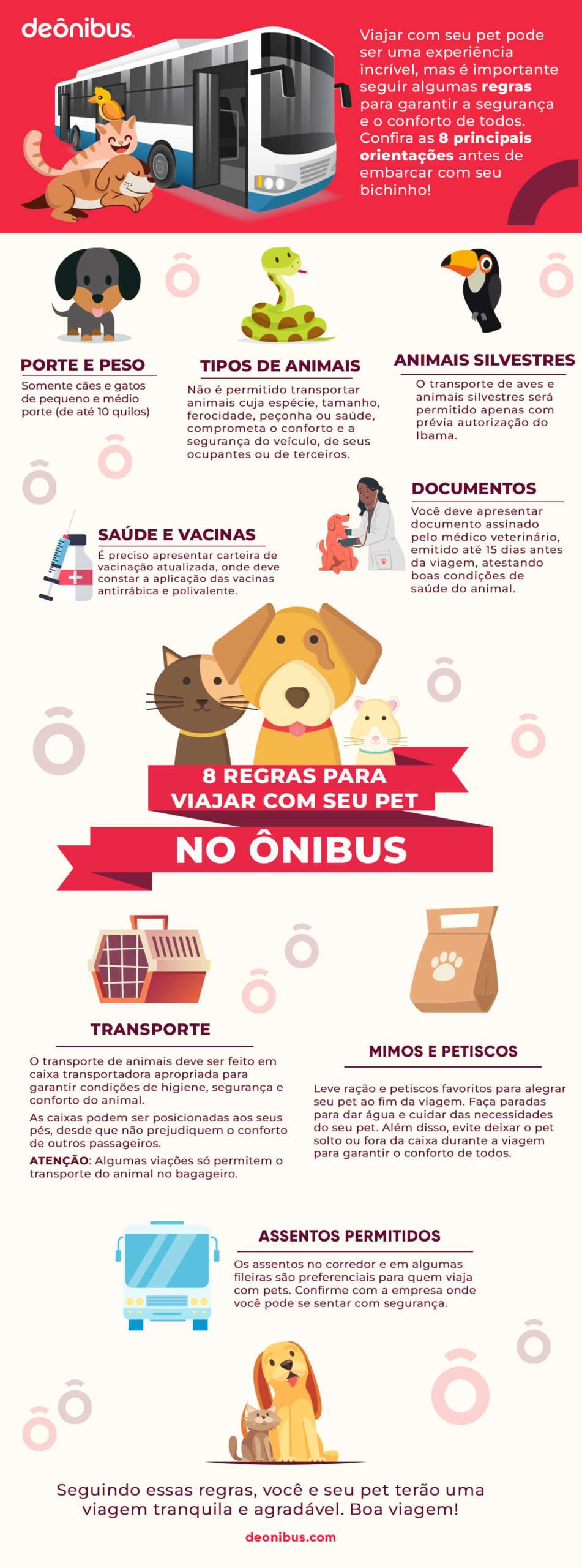5 regras para viajar com pet de ônibus 8 regras para viajar com pet de ônibus