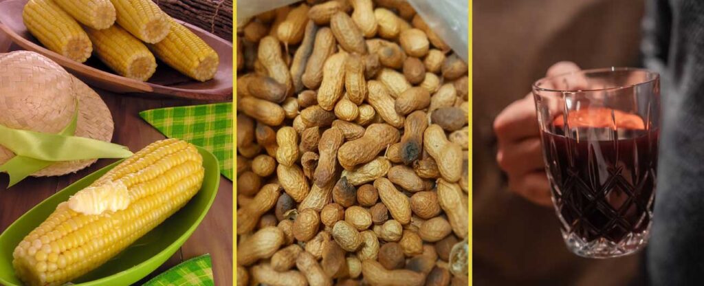 Delícias culinárias para aguçar o paladar