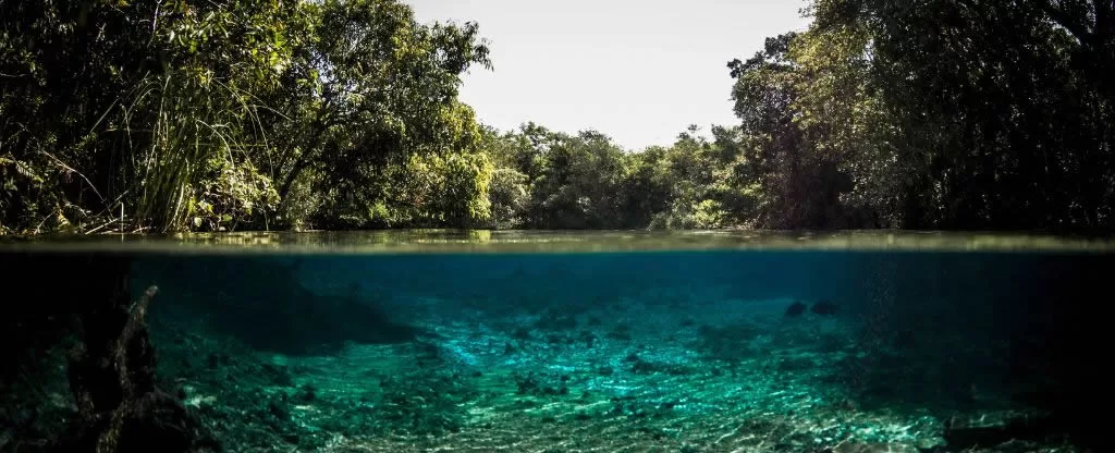 Águas cristalinas Bonito Mato Grosso do Sul - Destinos para casais aventureiros