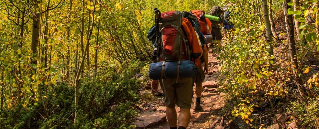 Grupo de pessoa em trilha