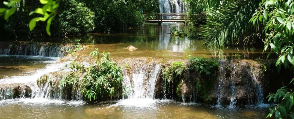Duas pequenas quedas d'água cercadas de vegetação.