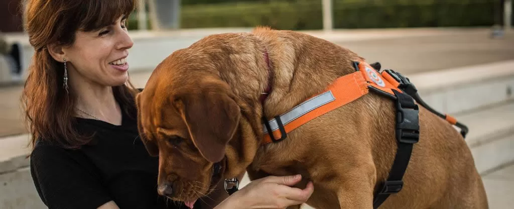 Mulher cega sentada com seu cão guia de cor marrom