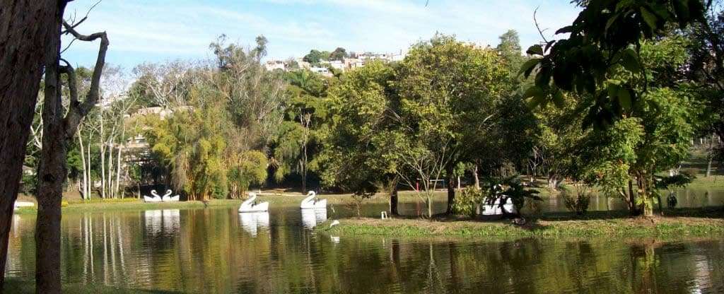 Patos nadando em Lago na cidade de Caxambu MG Patos nadando em Lago na cidade de Caxambu MG