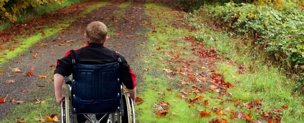 Pessoa de costas em uma cadeira de rodas em meio a natureza