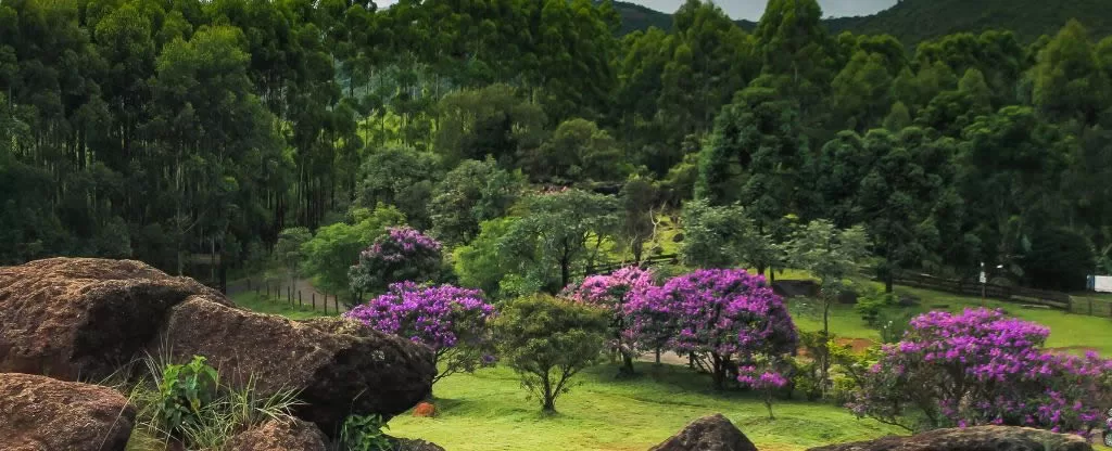 Poços de Caldas MG - Cidades do Sul de Minas