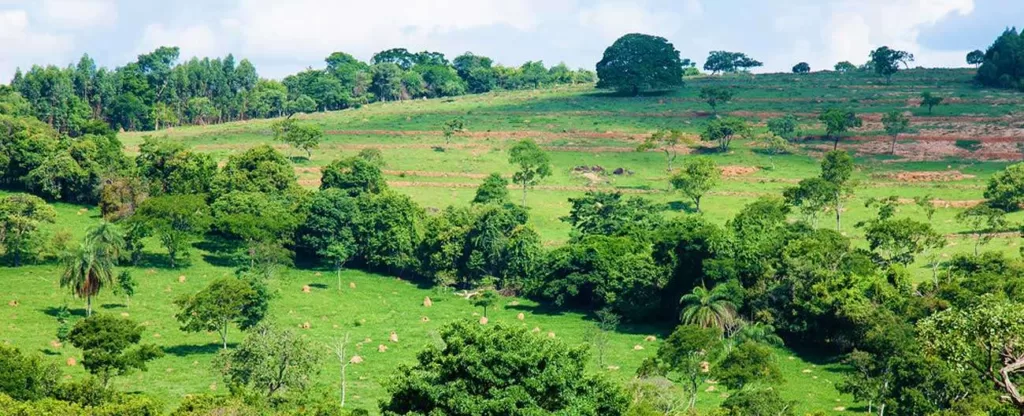 Itaúna (MG) Itaúna (MG)