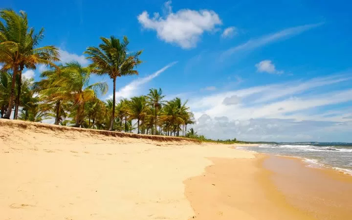 Praias de Porto Seguro Bahia