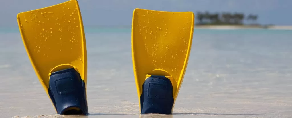 Acessório para prática de snorkel