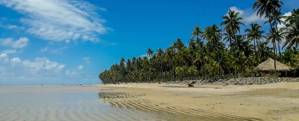 Praia de Maragogi Melhores praias para passar o Ano Novo - Maragogi