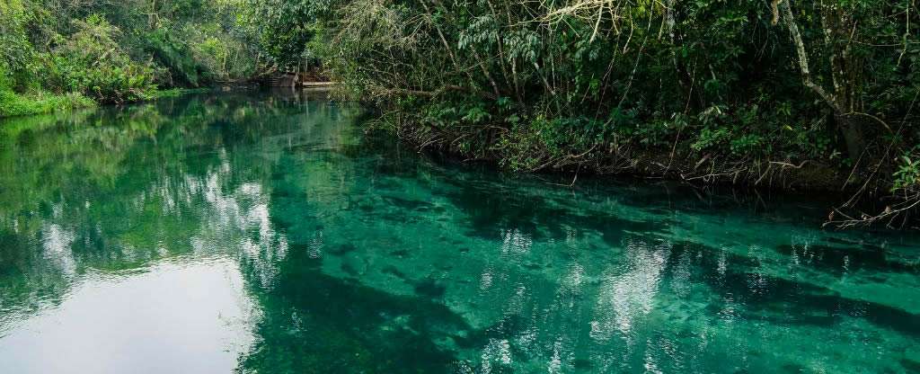 Piscina natural de águas cristalinas em Bonito MS