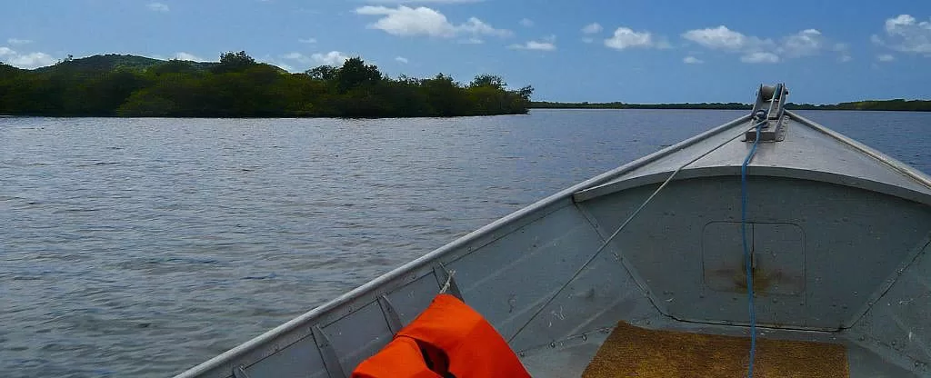 Barco em alto mar Barco em alto mar