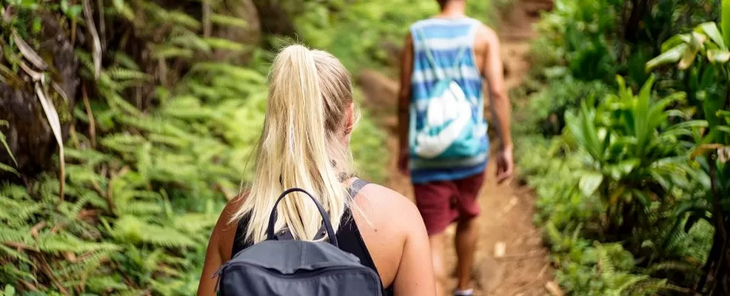 Pessoas fazendo trilha Pessoas fazendo trilha