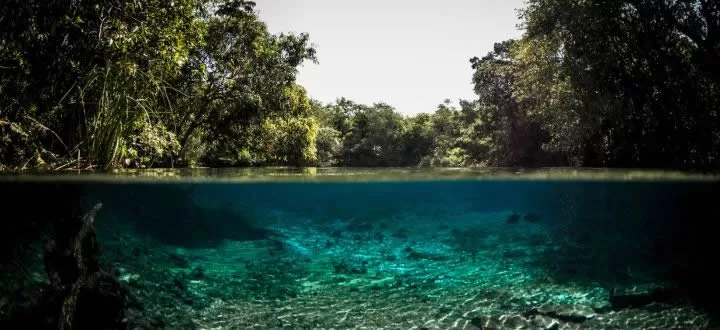 Bonito em Mato Grosso do Sul Bonito em Mato Grosso do Sul - Lugares para viajar em janeiro