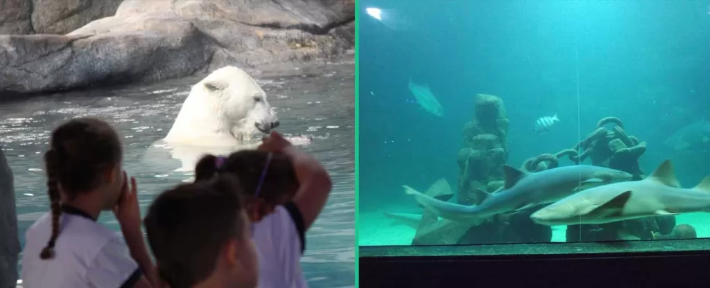 Aquário de São Paulo