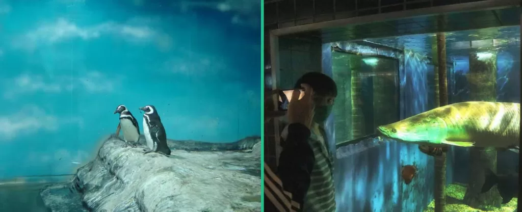 Aquário Municipal de Santos