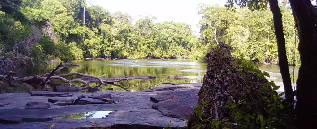 Parque Nacional Montanhas do Tumucumaque