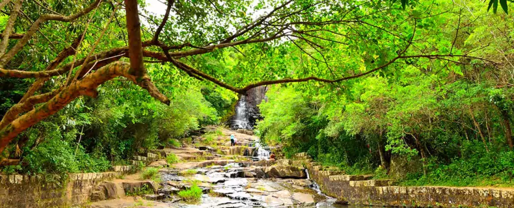 Trilha da Costa da Lagoa