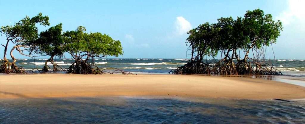Ilha de Marajó (PA)