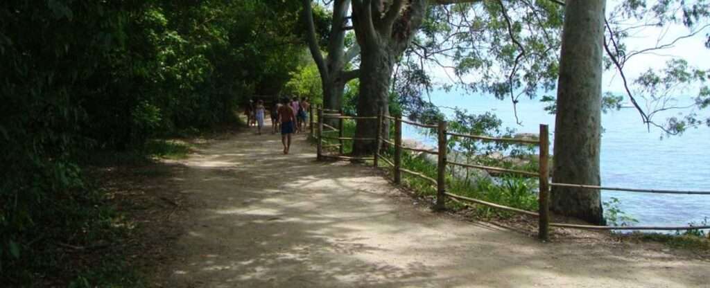 Trilhas em Ilha Grande