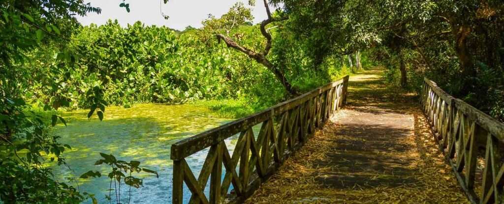 Jardim Botânico Benjamin Maranhão