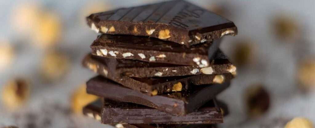 Rota do chocolate em Ilhéus: por que virou febre