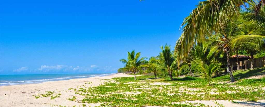 Praia de Caravelas (BA) - Foto: Alicedaraujo – Wikimedia Commons