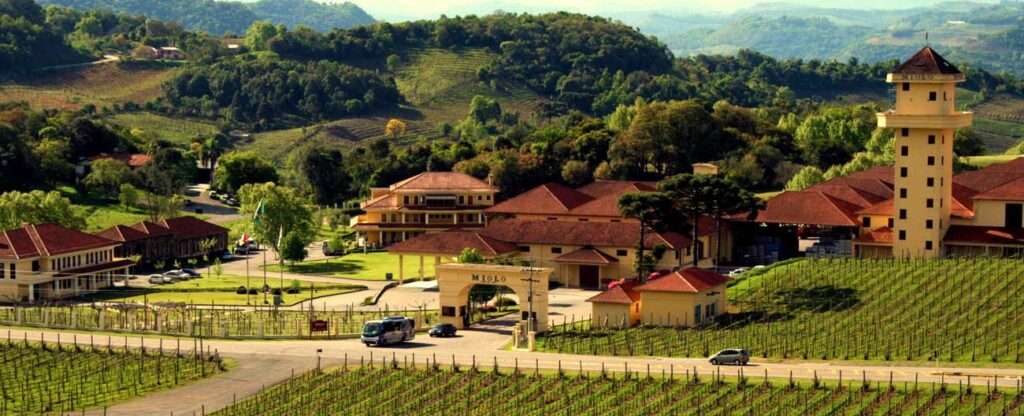 Vinícola Miolo - Vale dos Vinhedos - Foto: lethaargic – Wikimedia Commons