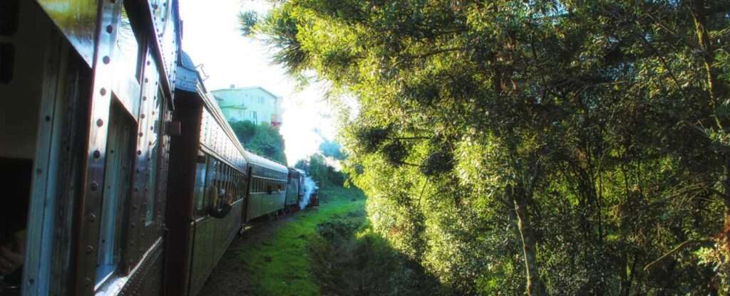 Maria fumaça e natureza em Garibaldi - Foto: Everson José de Freitas Pereira – Wikimedia Commons