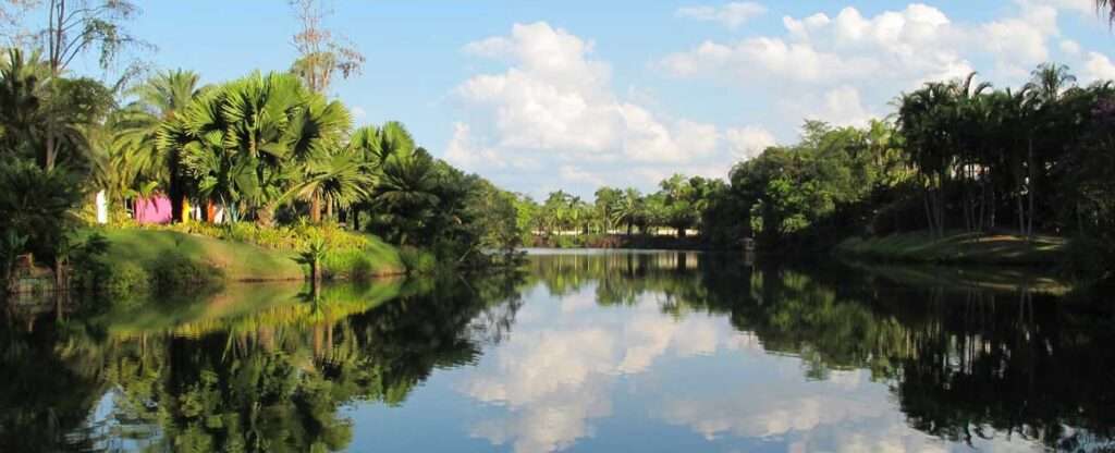 Inhotim, brumadinho MG - Foto: Carolina Munemasa – Pexels