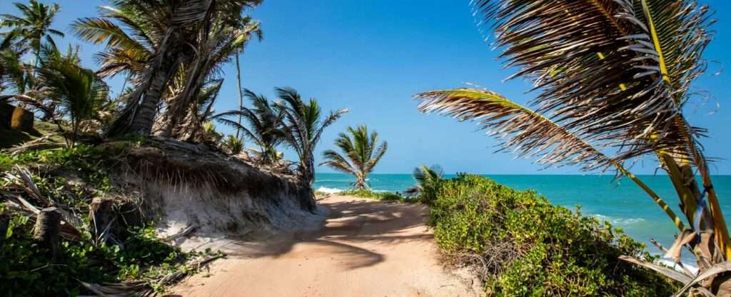 Praia de Coqueirinho (PB) - Foto: alexandre saraiva carniato – Pexels