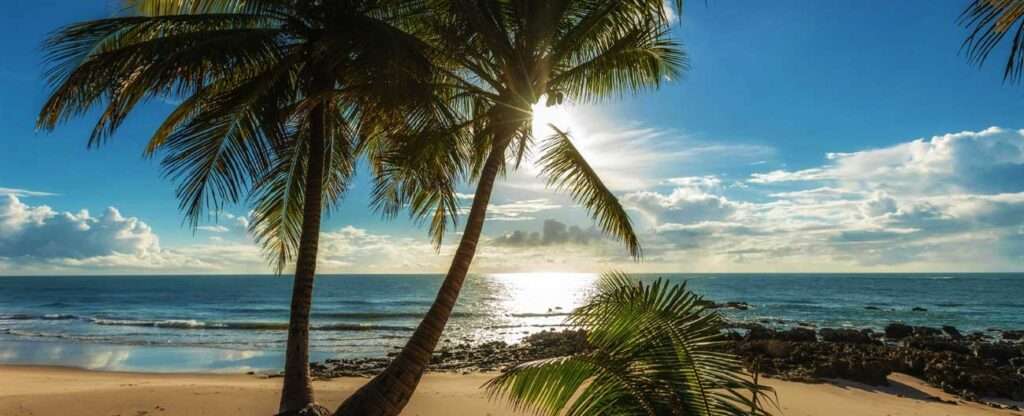 João Pessoa (PB) - Foto: alexandre saraiva carniato – Pexels