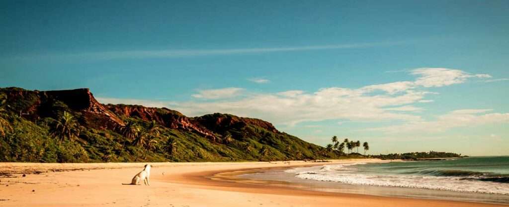 Praia em João Pessoa (PB) - Foto: alexandre saraiva carniato – Pexels