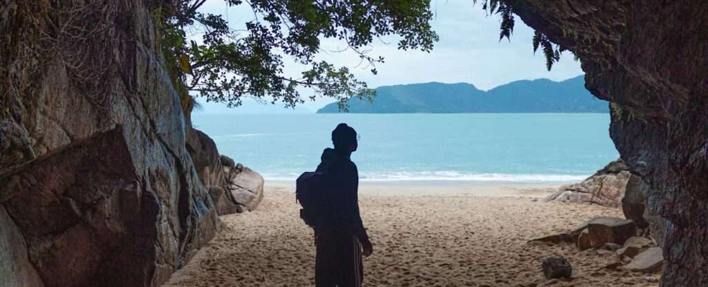 Trilha em Ubatuba - Foto: Rafael Augusto Barbosa da Silva – Pexels